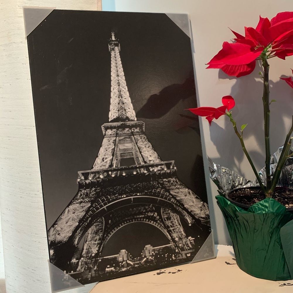 Paris Themed wall art